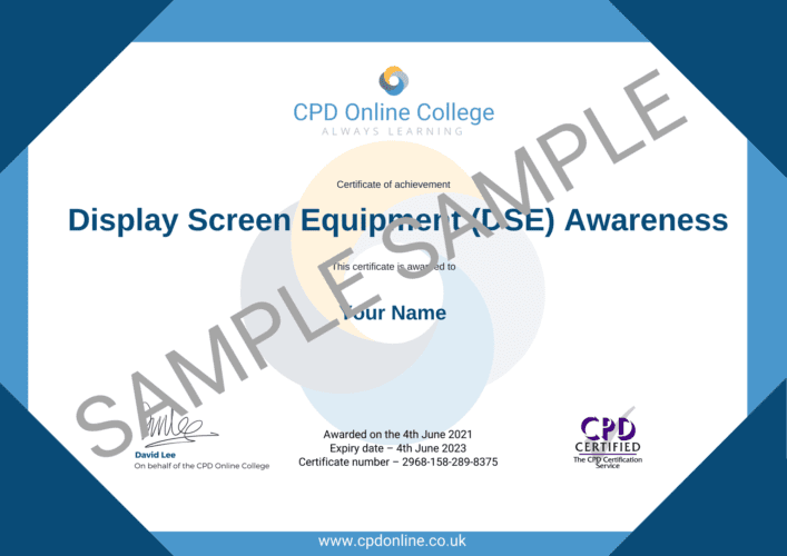 Display Screen Equipment (DSE) Awareness CPD Certificate