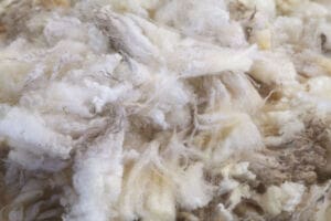 Photo of asbestos up close
