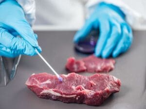 Bacteria and viruses that can cause food poisoning