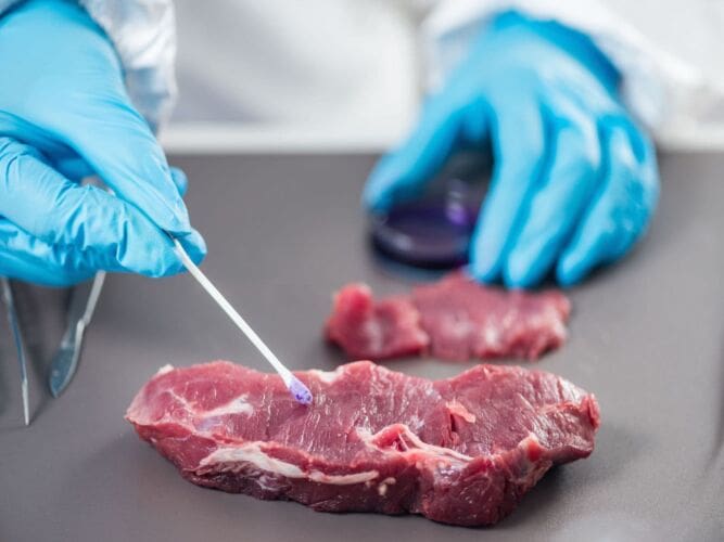 Bacteria and viruses that can cause food poisoning