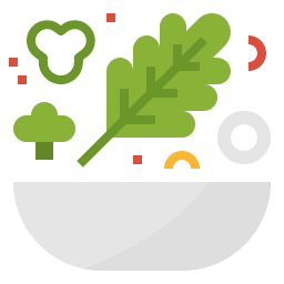 Salad bowl icon