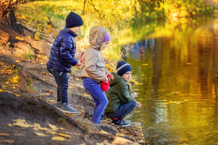 Benefits of Forest Schools