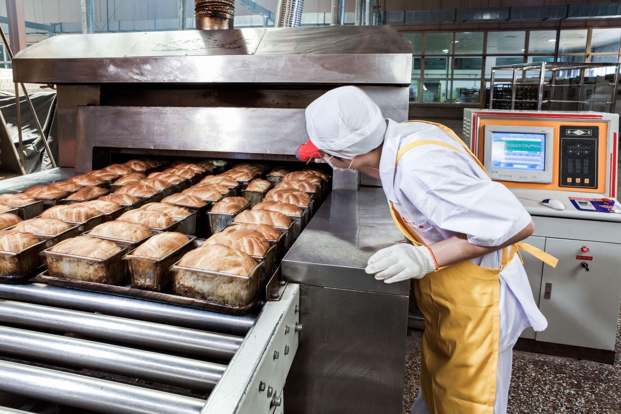 Conveyor Belt Of Food