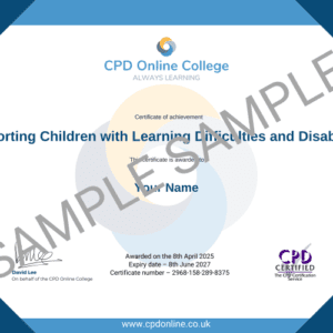 Supporting Children with Learning Difficulties and Disabilities Certificate