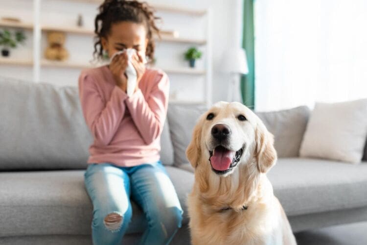 What is a pet allergy