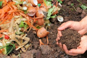 Composting waste