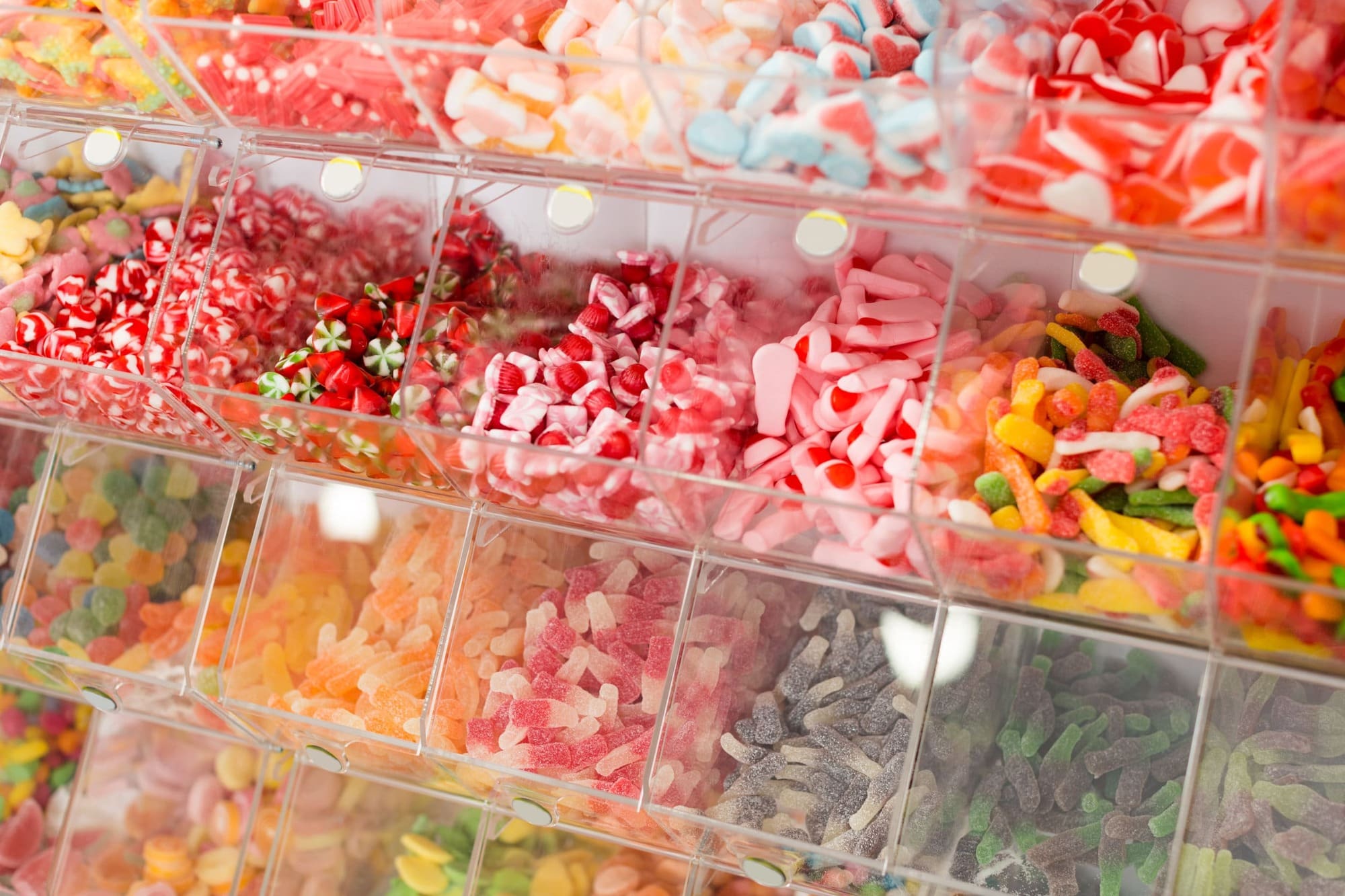 Setting Up A Sweet Shop Business