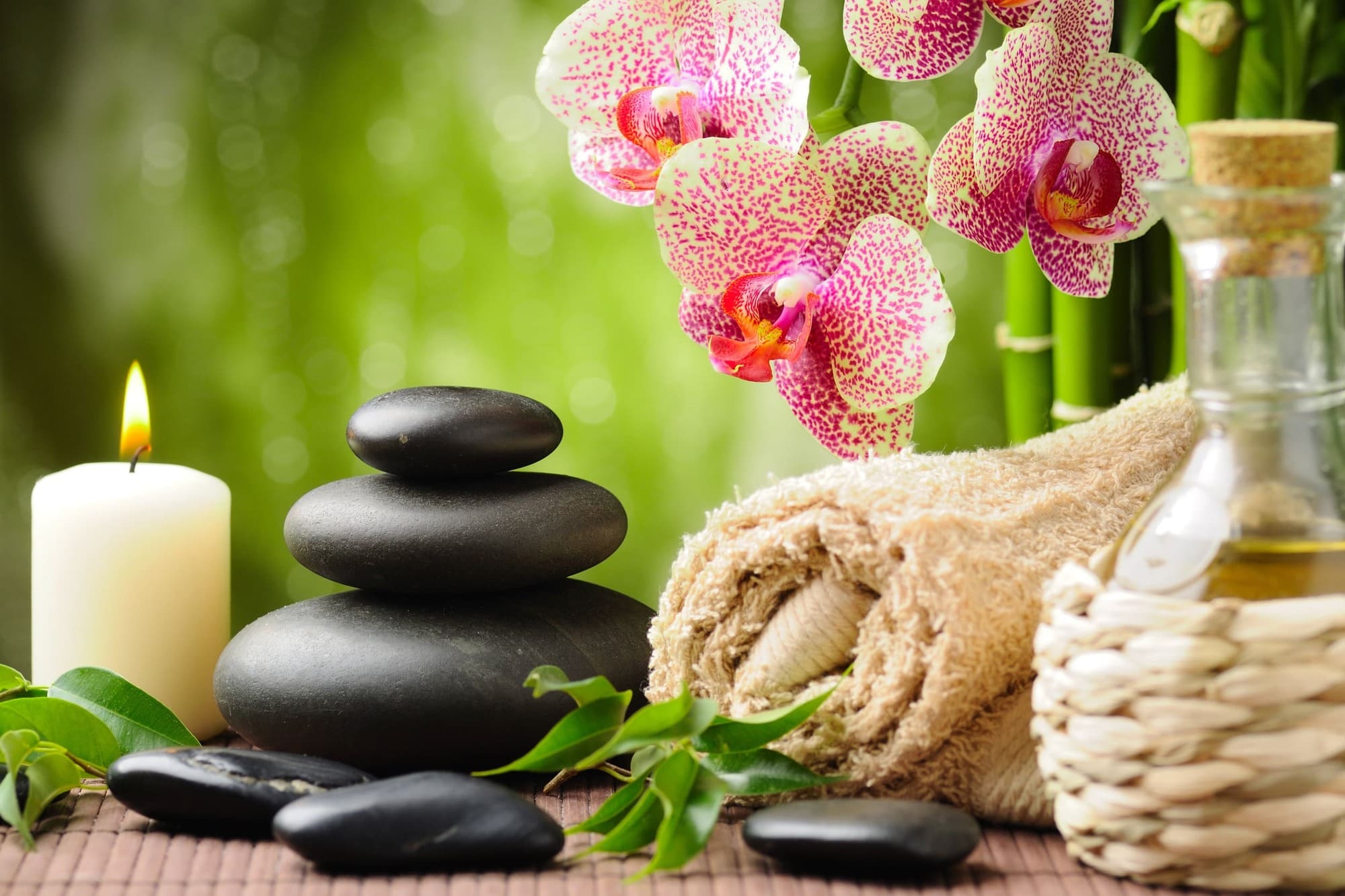 Massage Therapy Business