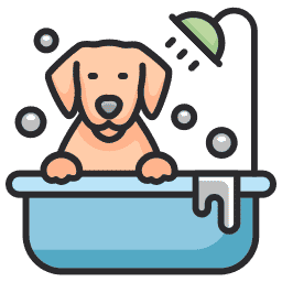 Bathing dog