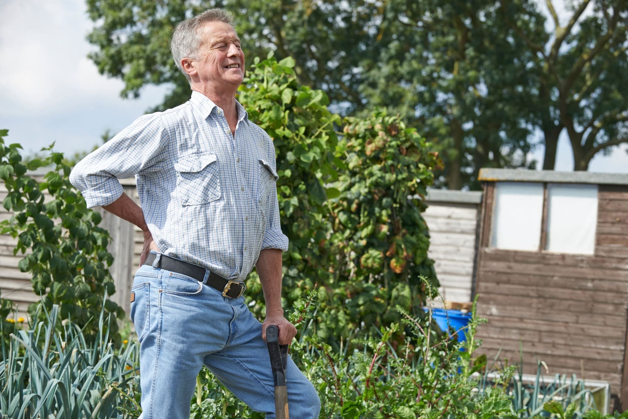 Elderly man with back pain from gardening