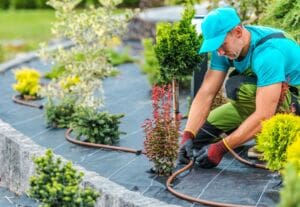 Setting up a gardening business