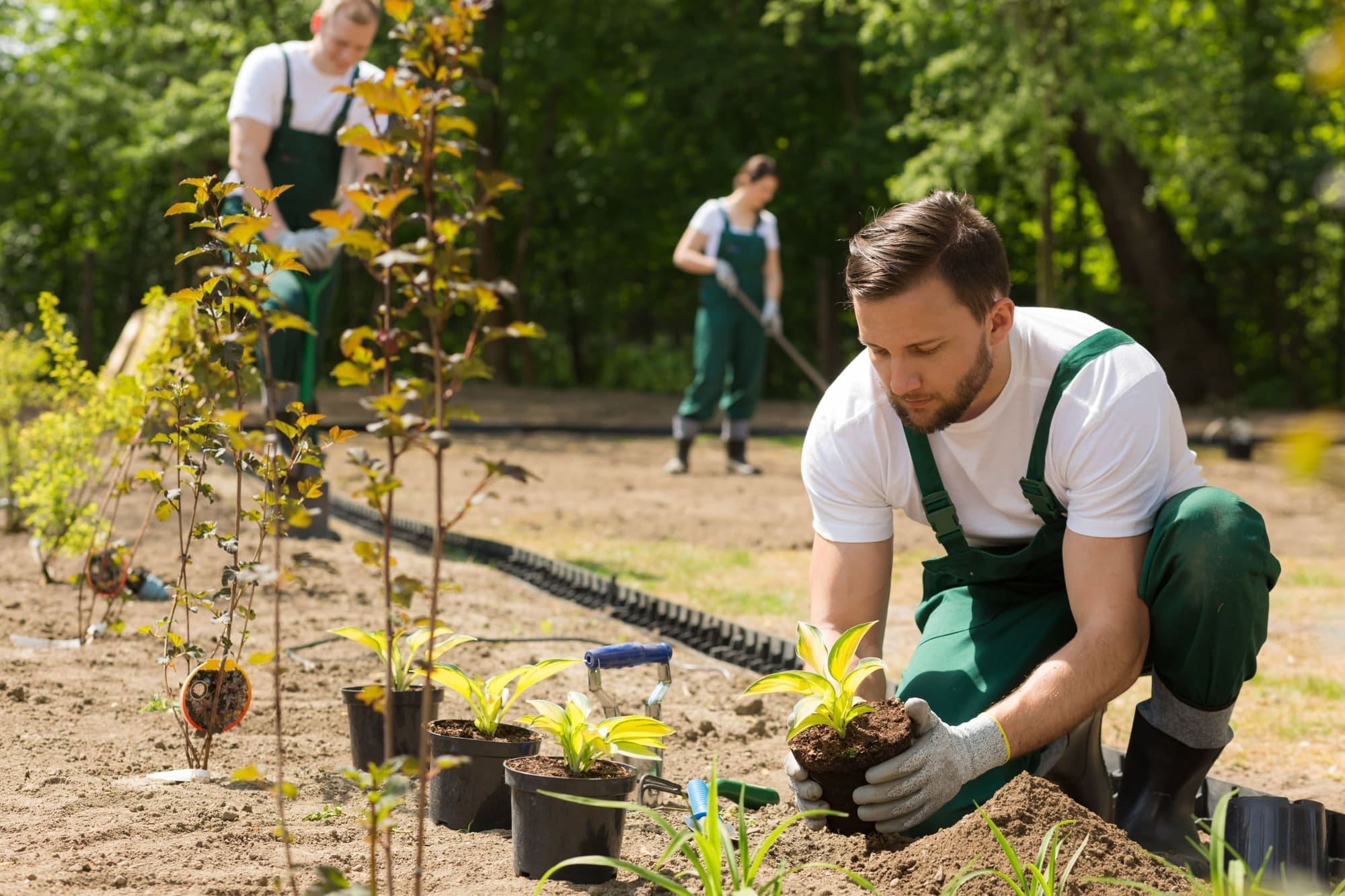 Team of gardeners in local community