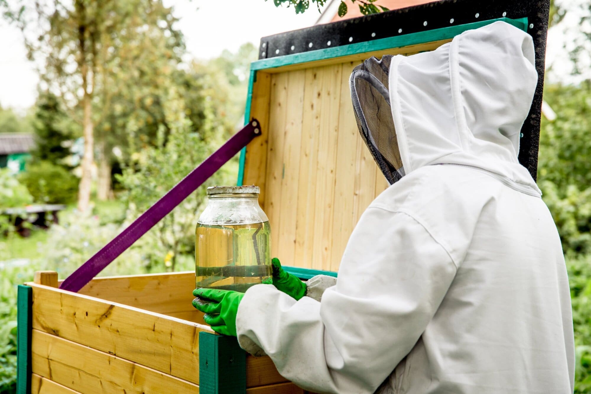 Beekeeper feeding bees in autumn