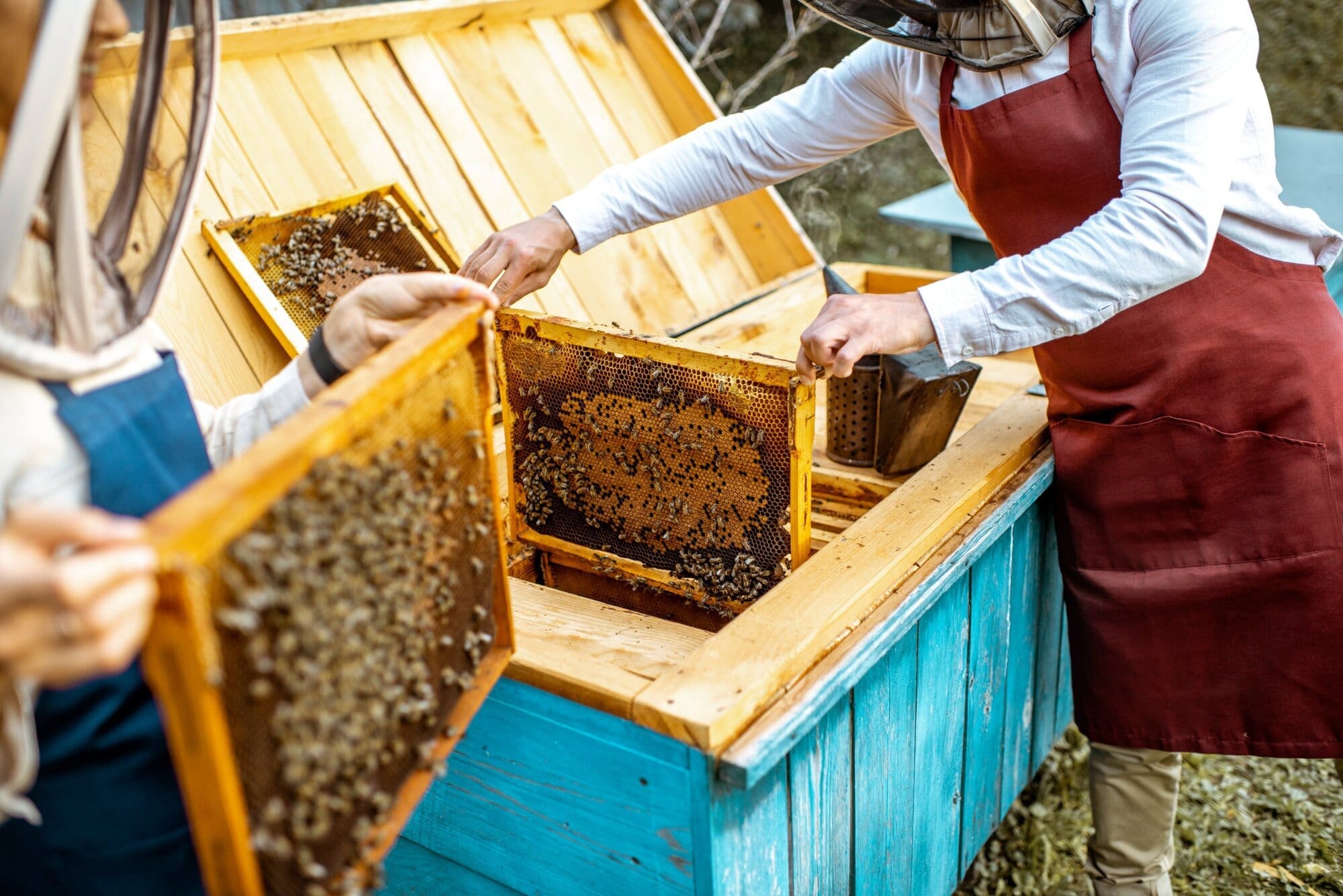 Beekeepers with the correct insurance