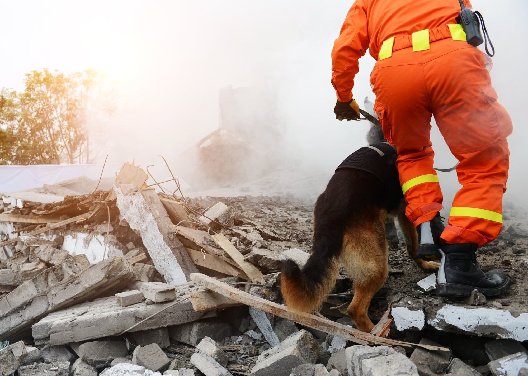 firefighter specialising in Animal rescue team 