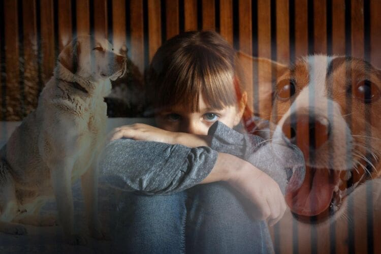 What is Cynophobia