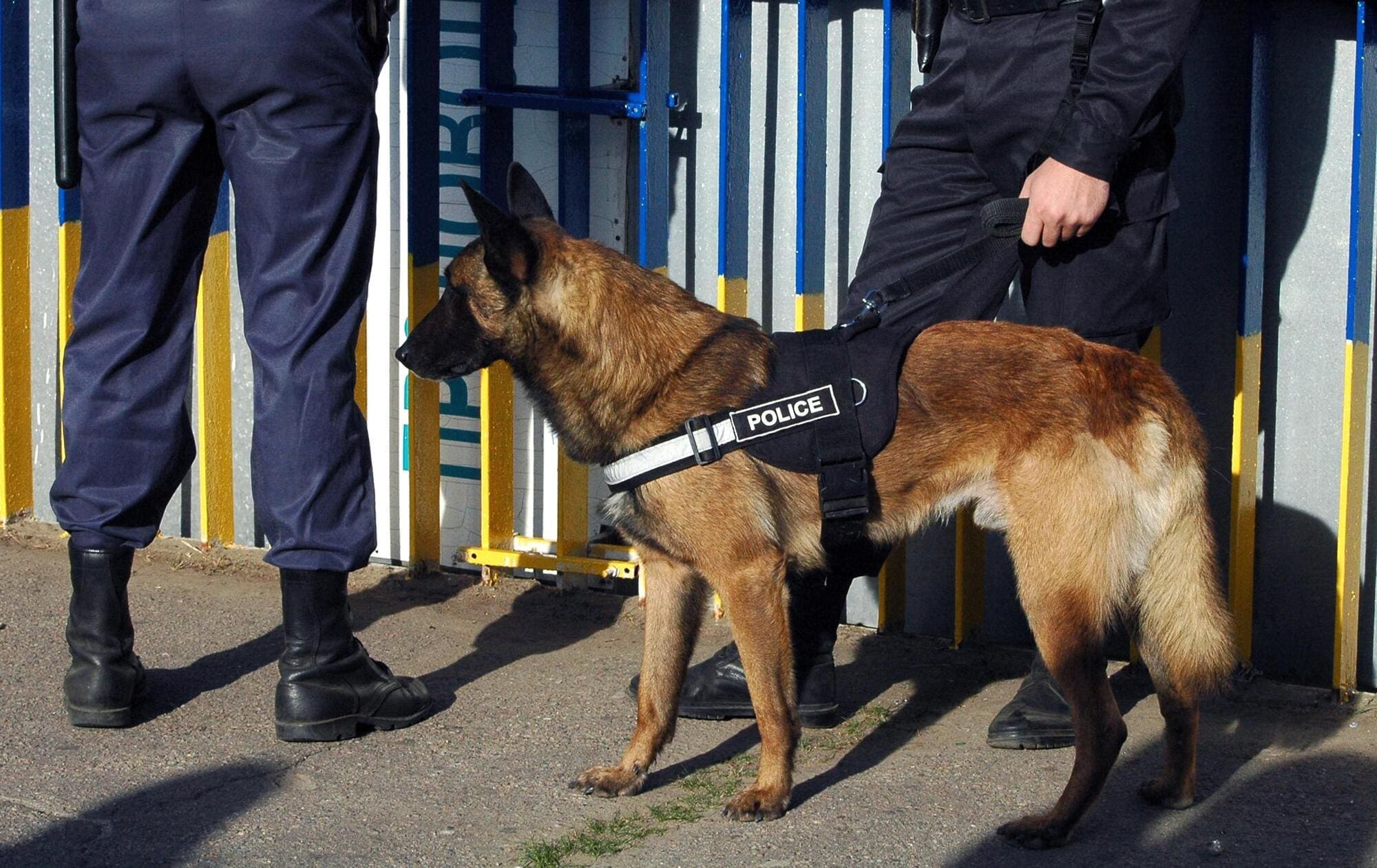 Police officers working in dog support unit
