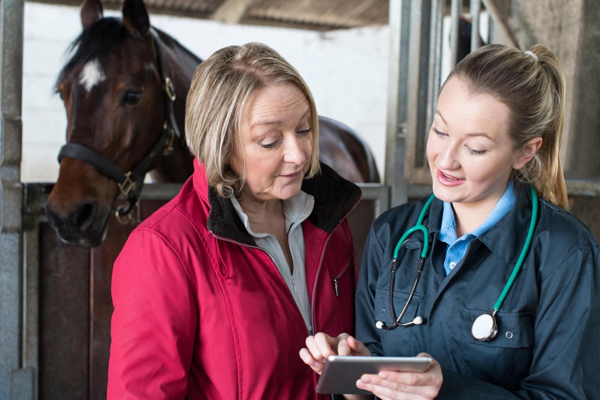 Vet working long hours