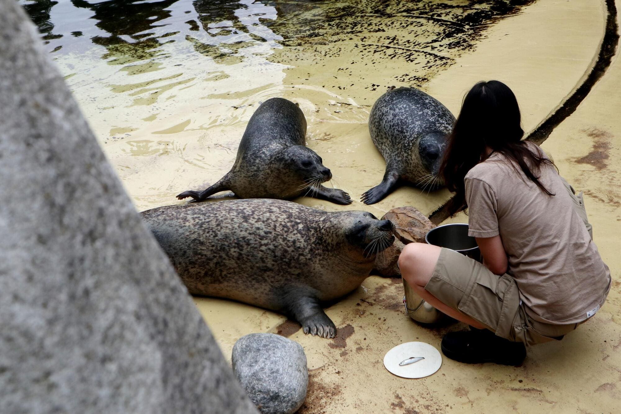 Zookeeper specialising in aquatic animals