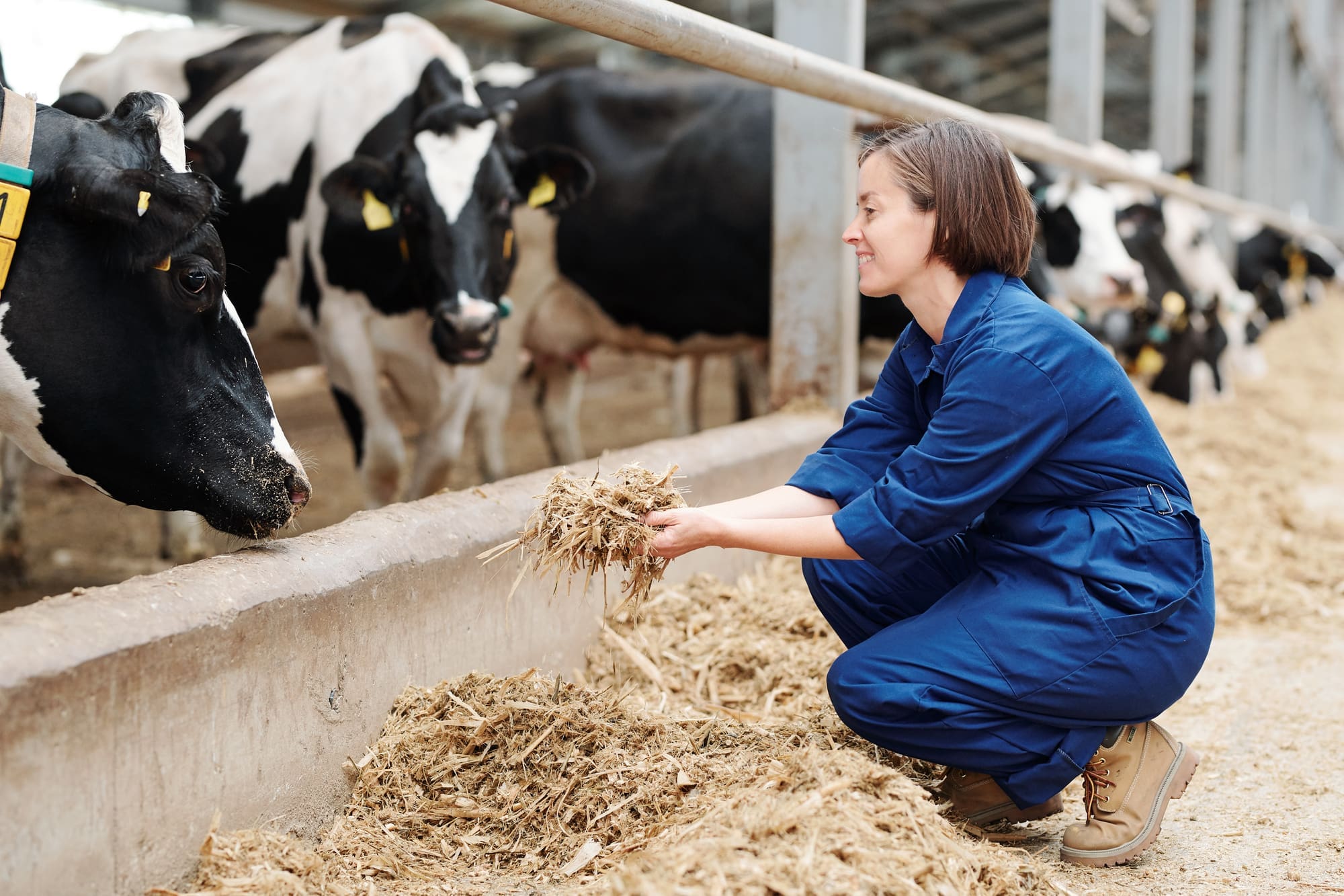 Gaining work experience on a farm
