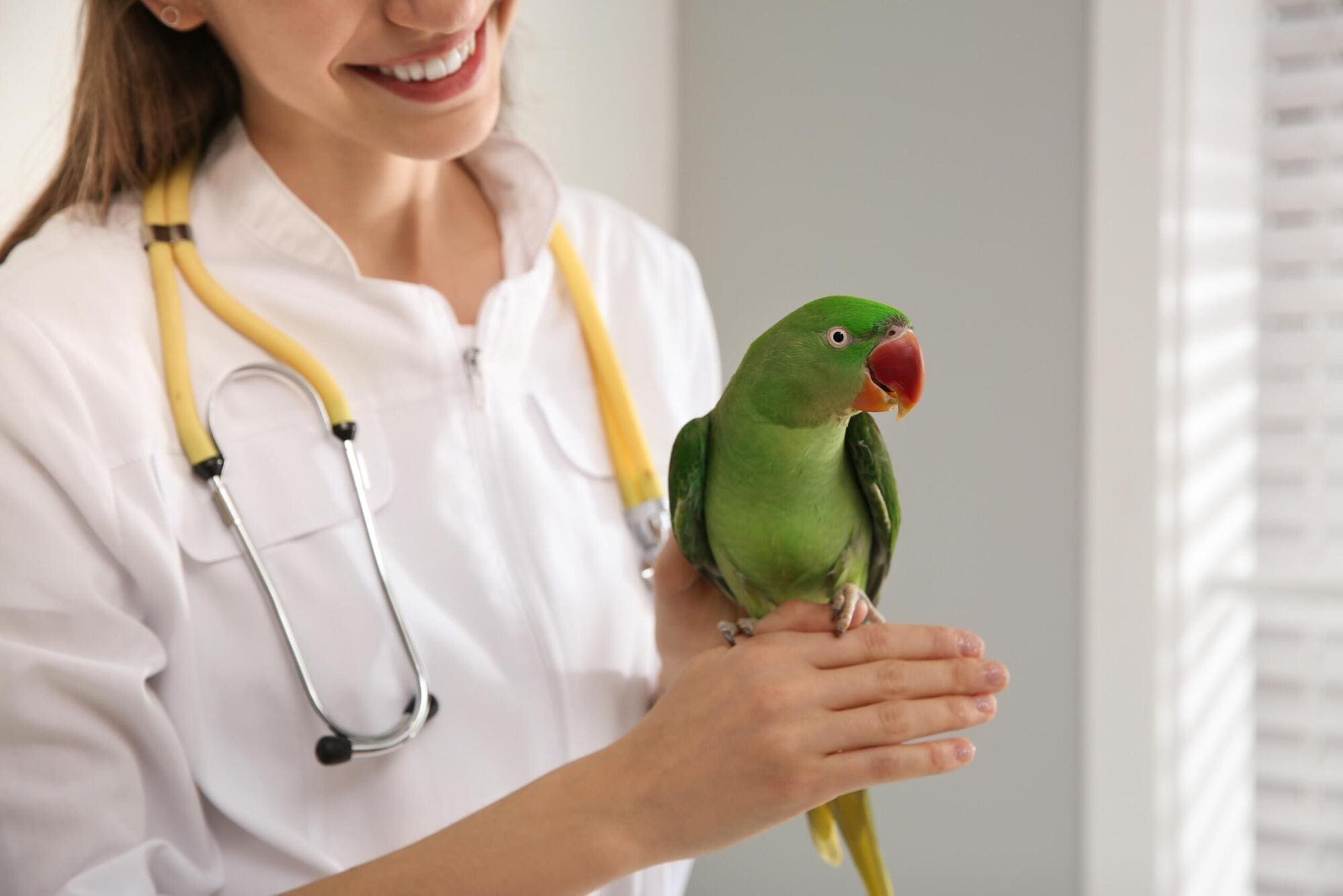 Vet with knowledge of new treatments