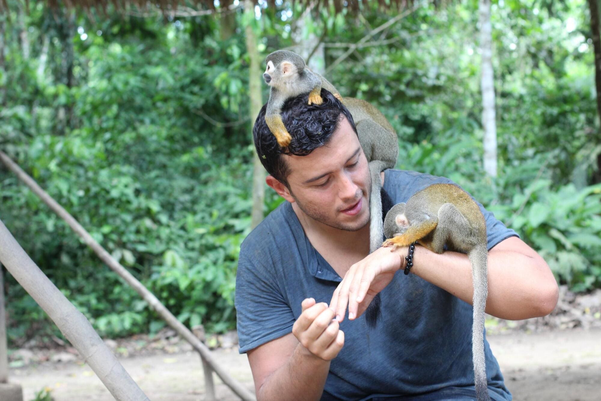 Working at wildlife rescue