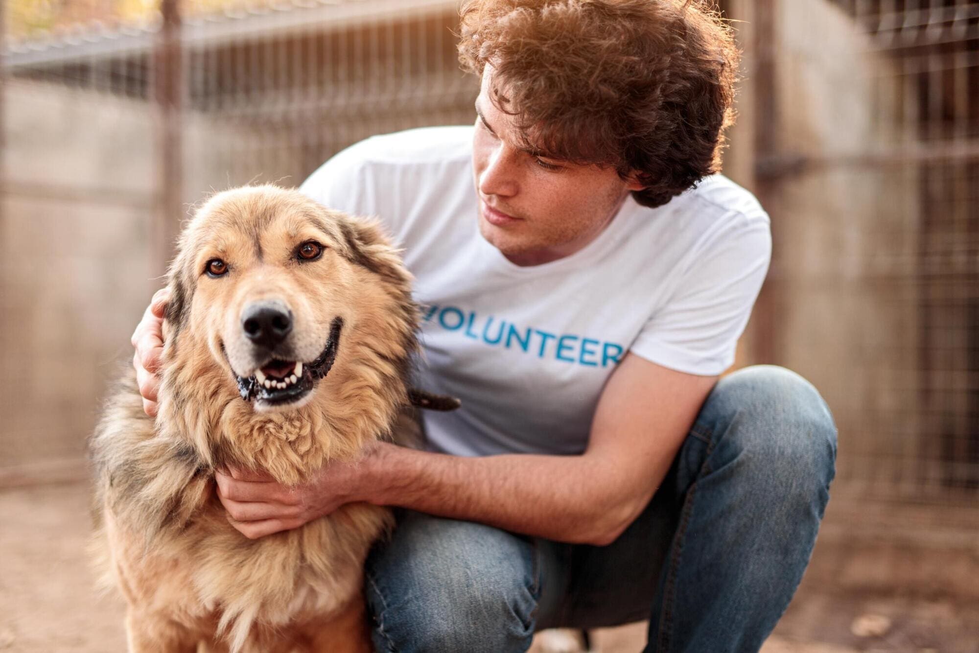 Volunteering with animal charities