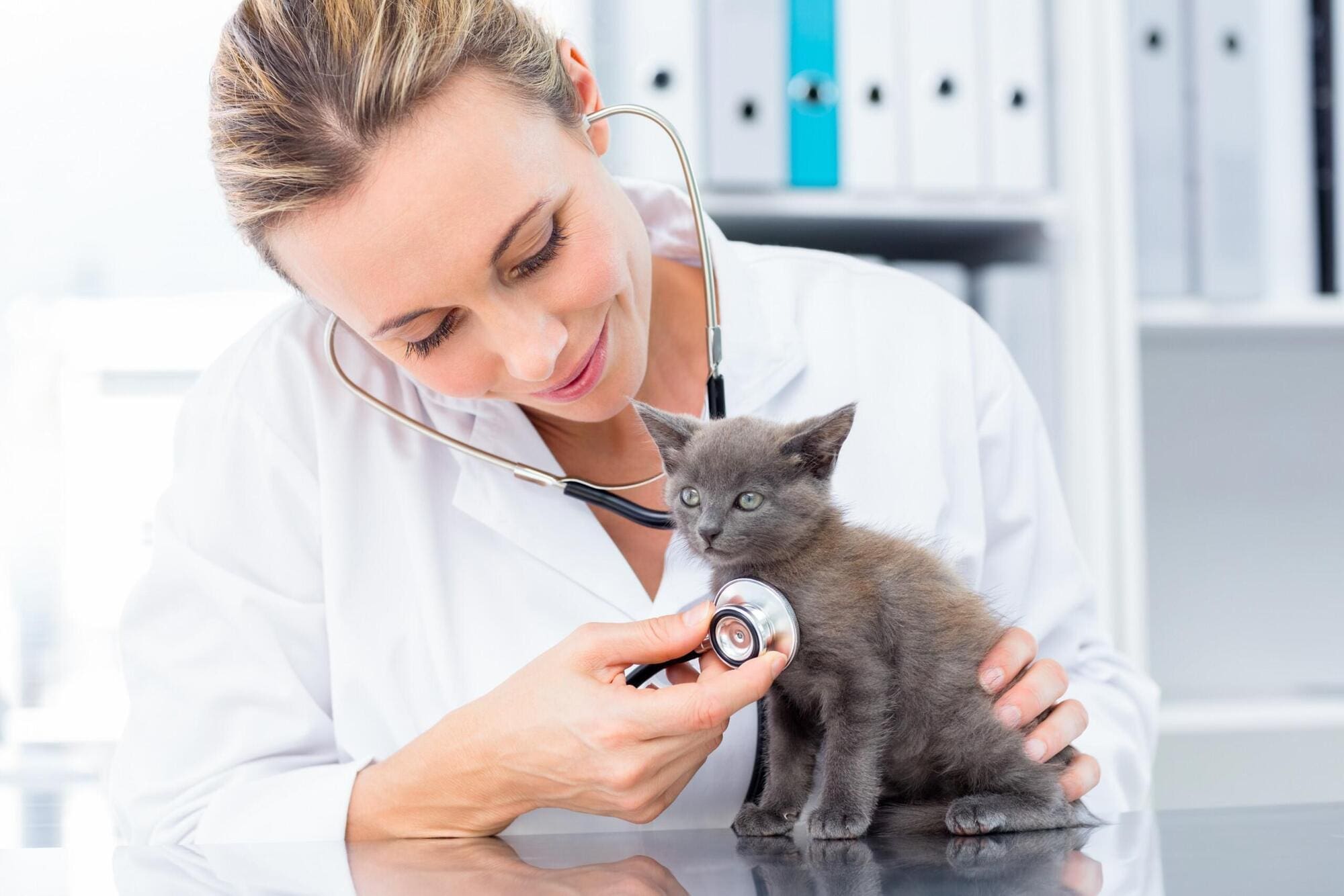 Self employed vet