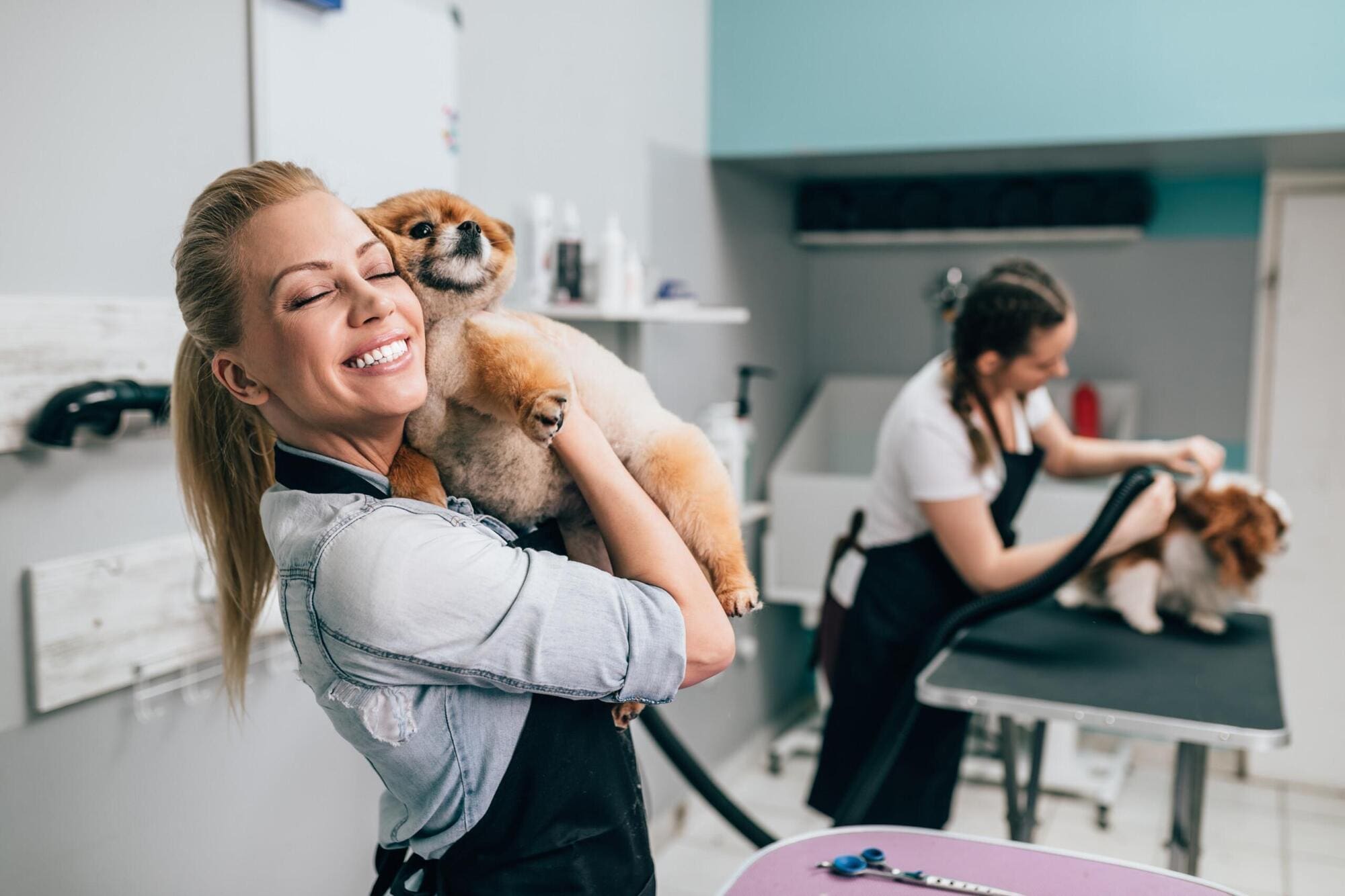 Taking college course for dog grooming