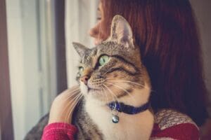 What is ailurophobia