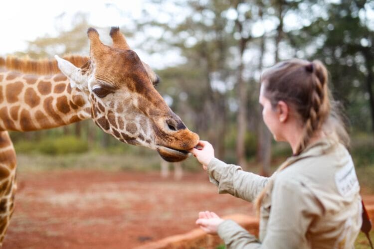 Becoming a zookeeper