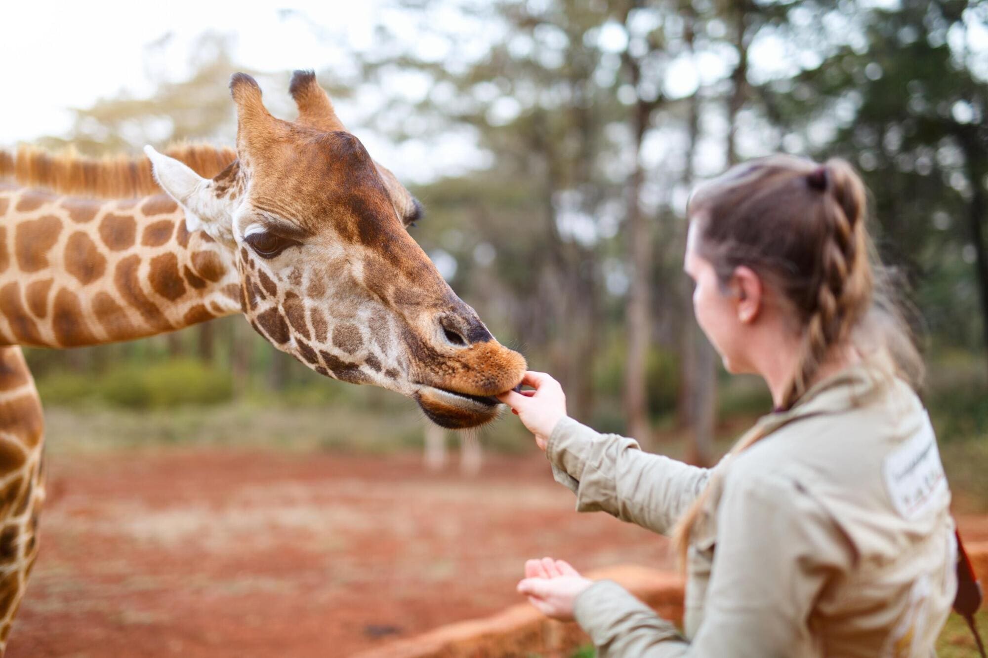 Becoming a zookeeper