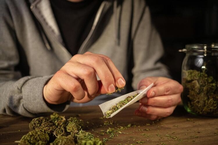 What is cannabis