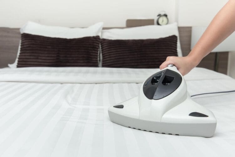 All about dust mites allergy