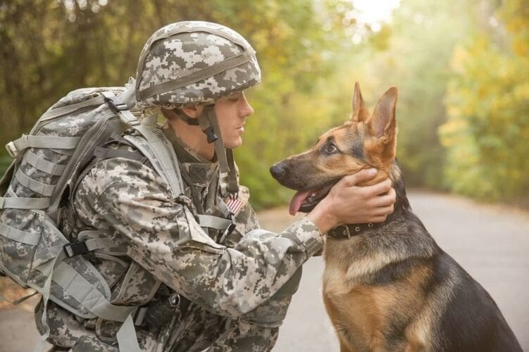 Becoming an army dog handler