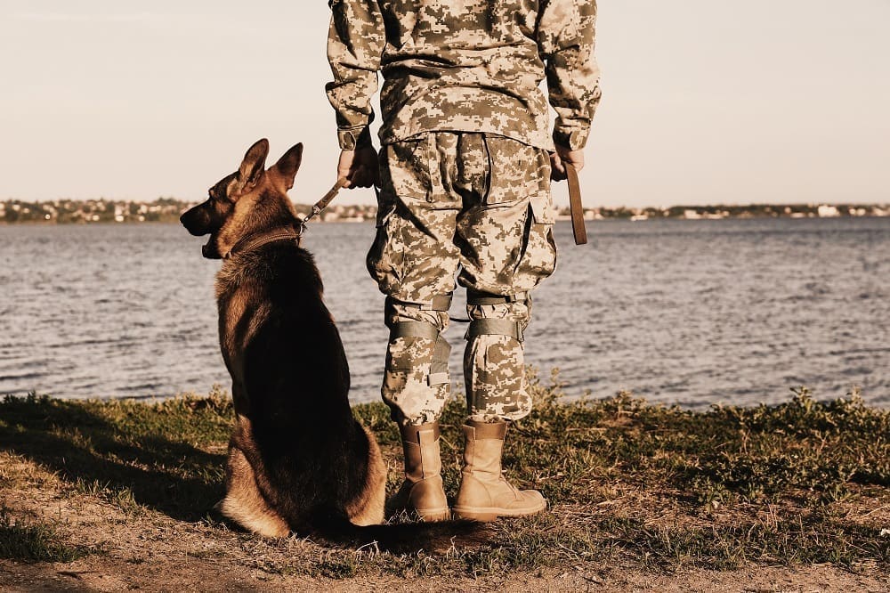 Working hours of an army dog handler