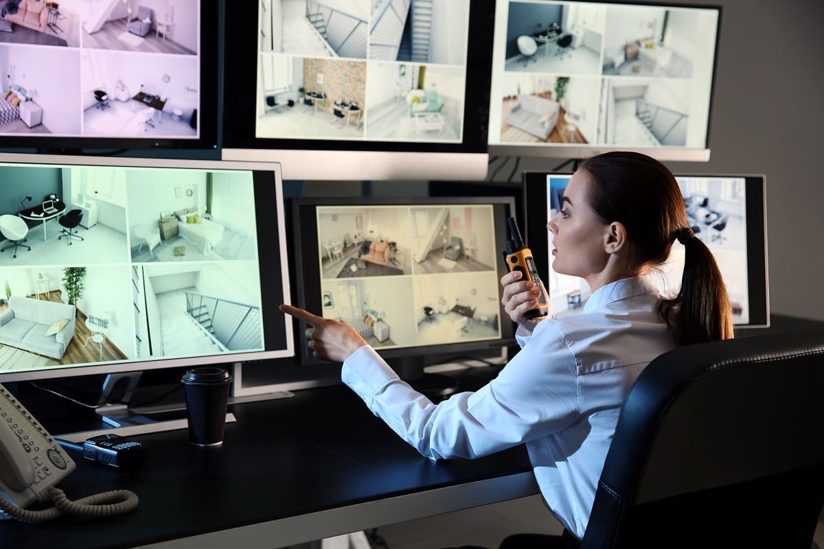 Bodyguard choosing surveillance career
