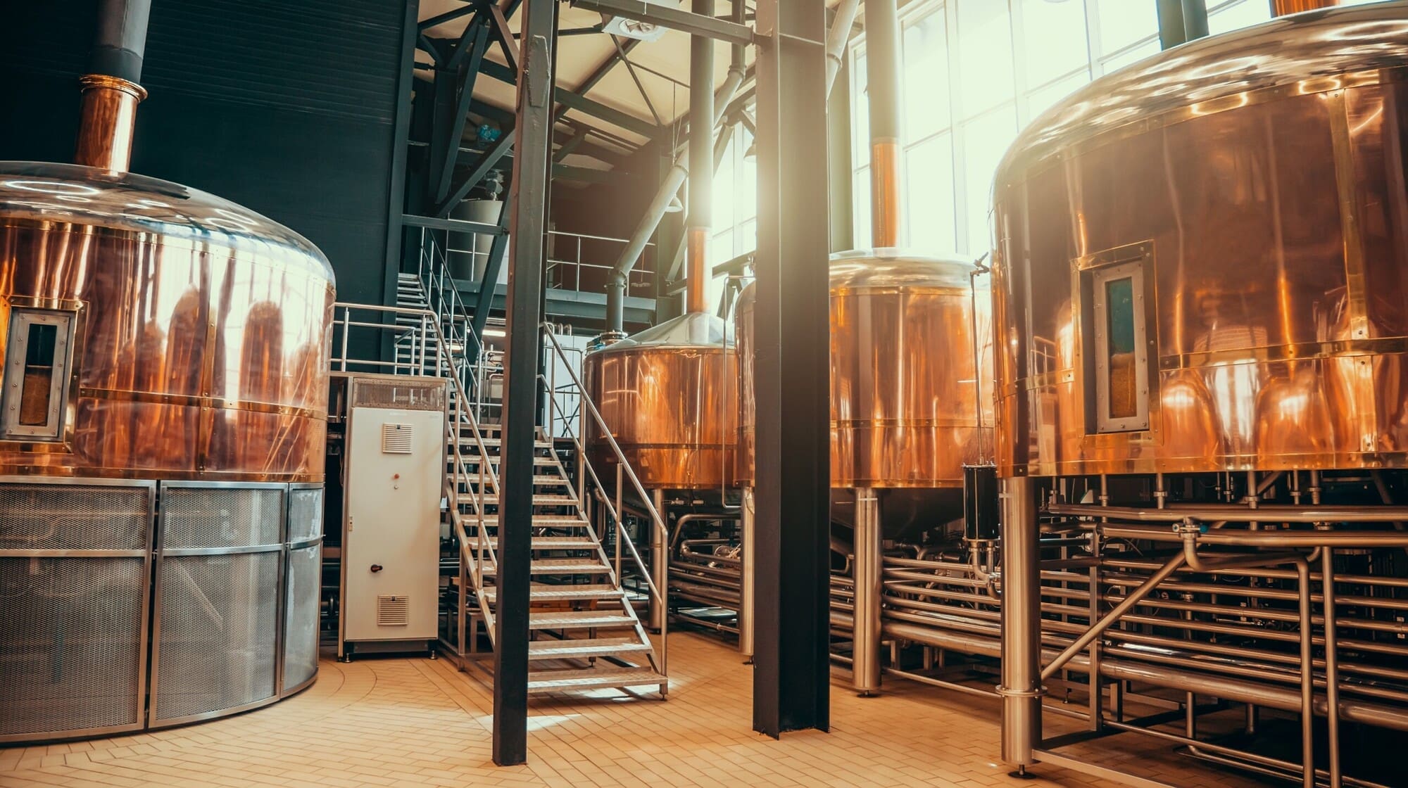 Crafting Beer
