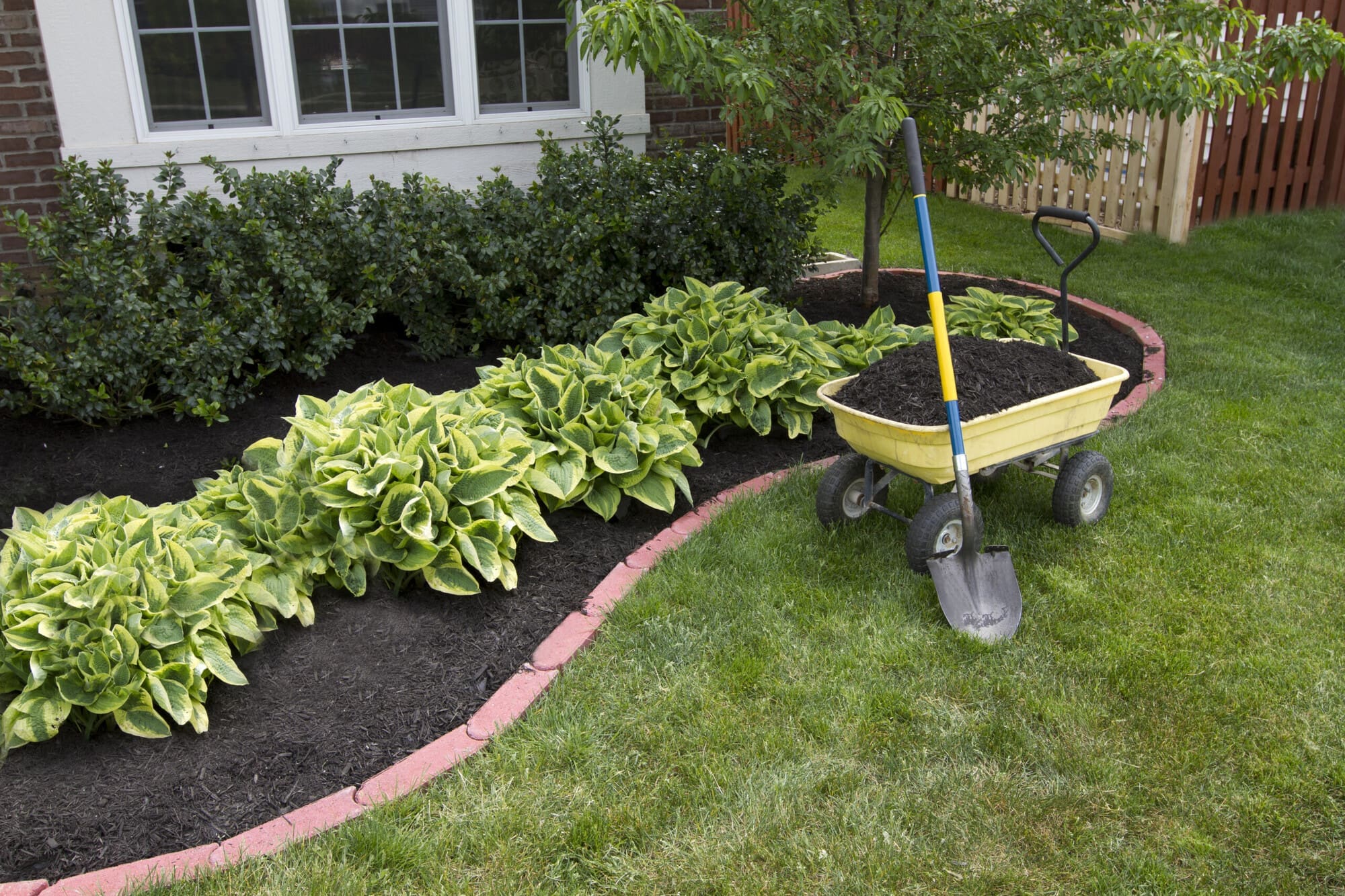 Garden Landscaping