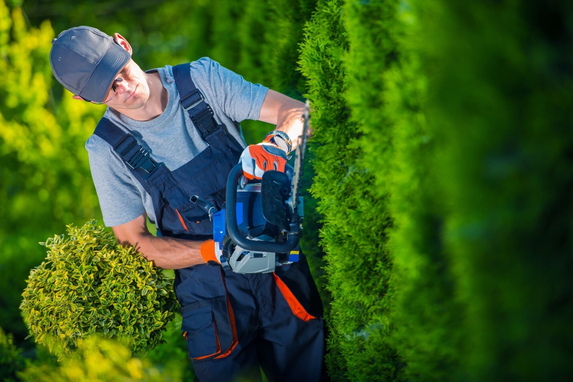 Landscaping