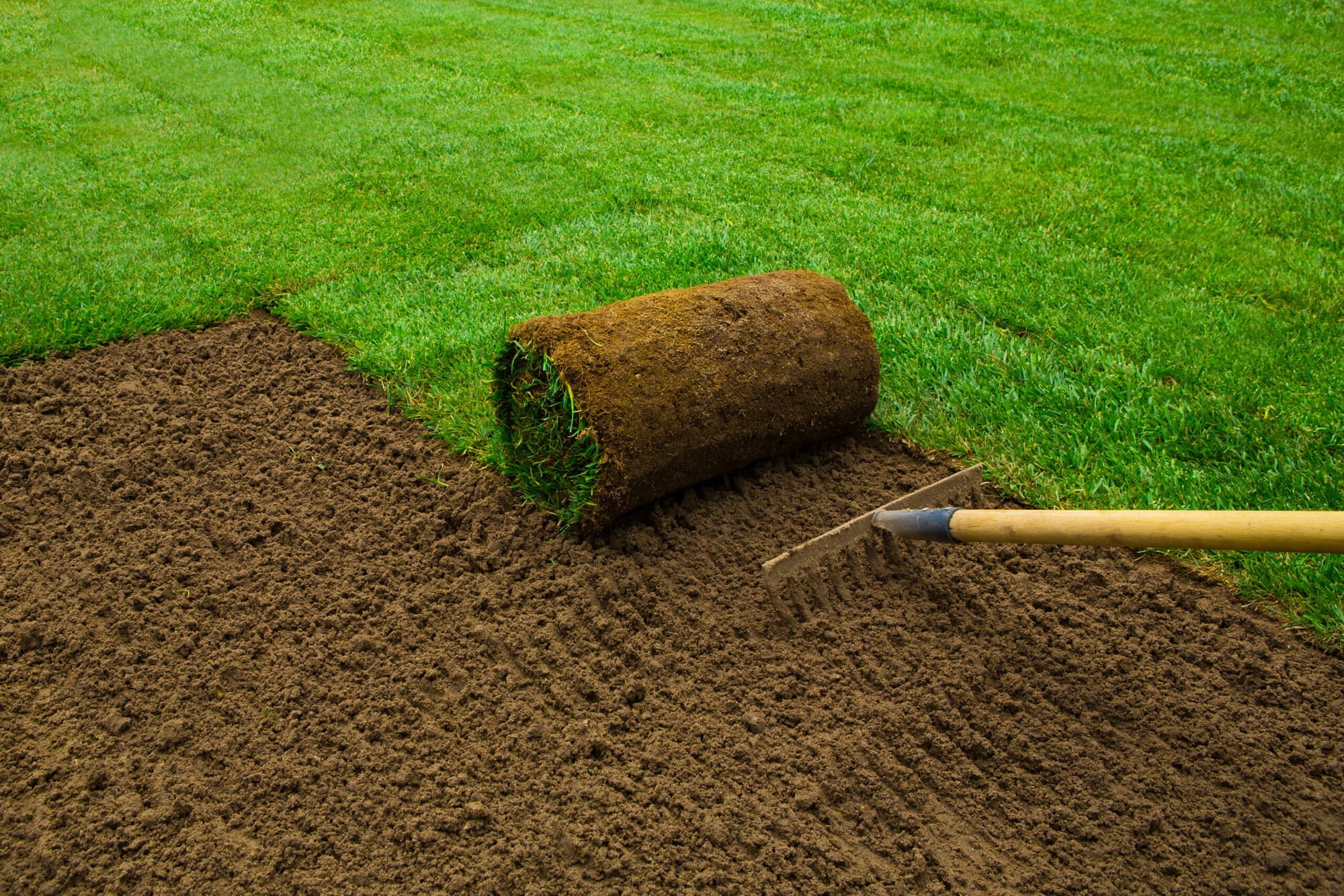 Setting Up a Landscape Business