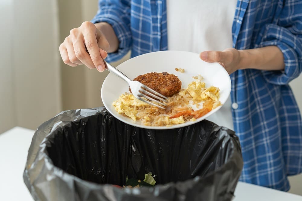 Food waste management in care homes