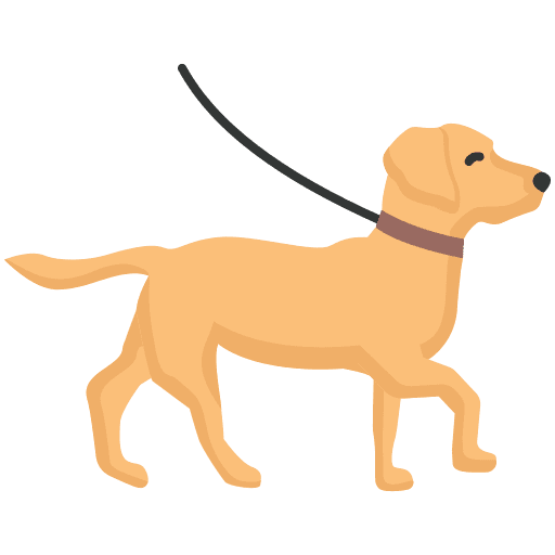 Dog day care cartoon