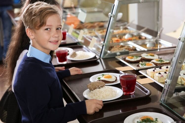 Food Hygiene Guide For Schools