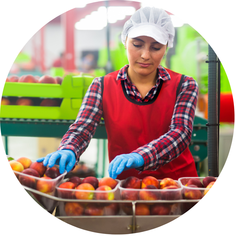 CPD Guide for Food Manufacturers