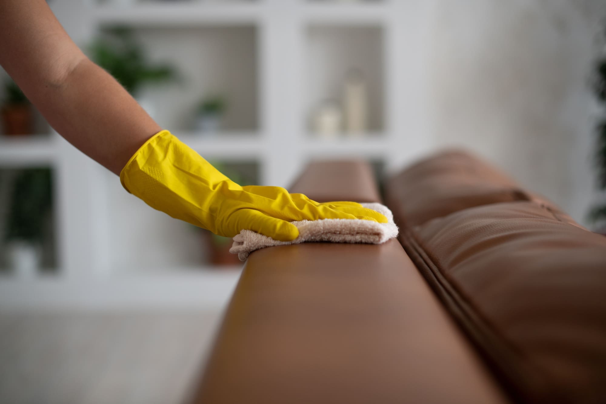 Housekeeper cleaning