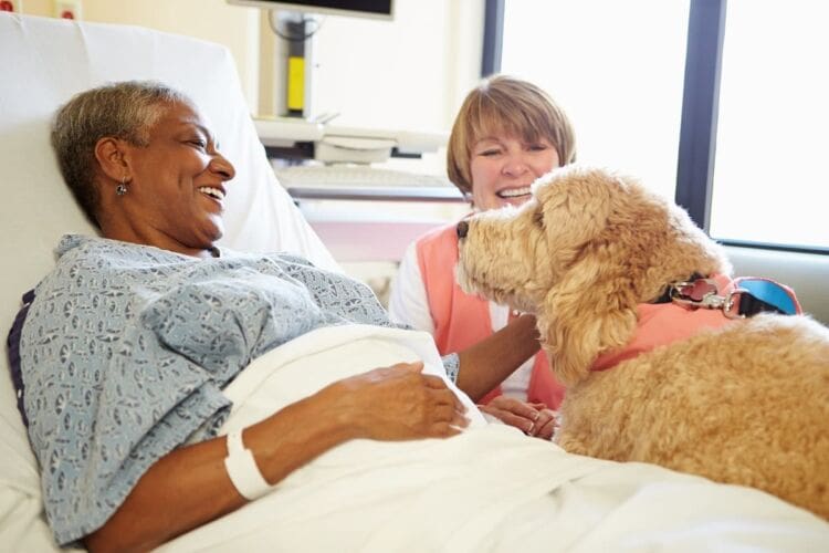 Importance of pet therapy in care settings