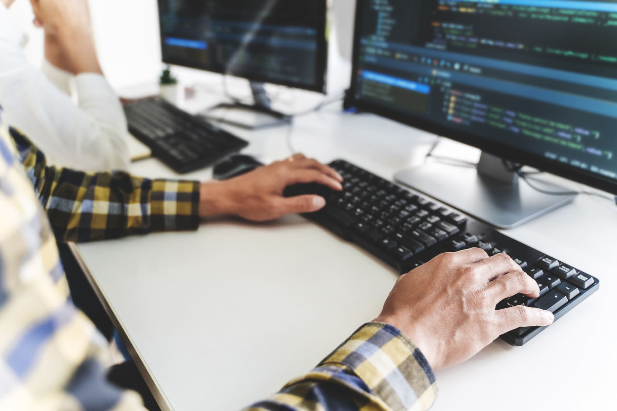 Web Developer Developing Programmes