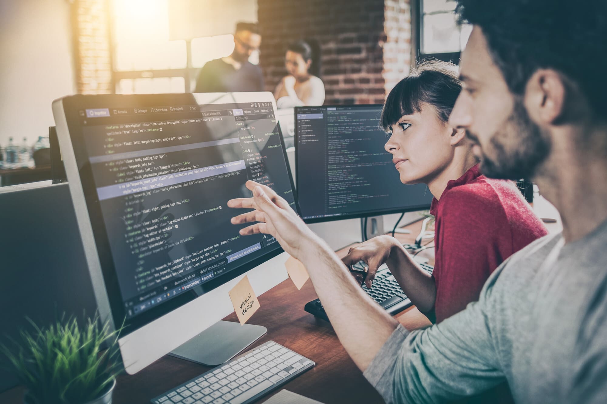 Web Developers Training Together