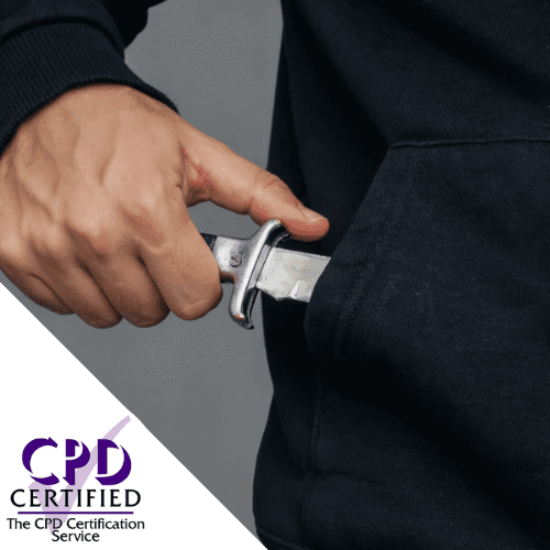 Knife crime awareness CPD online course